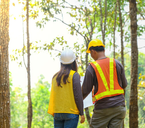 asian-engineers-men-and-women-exploring-the-forest